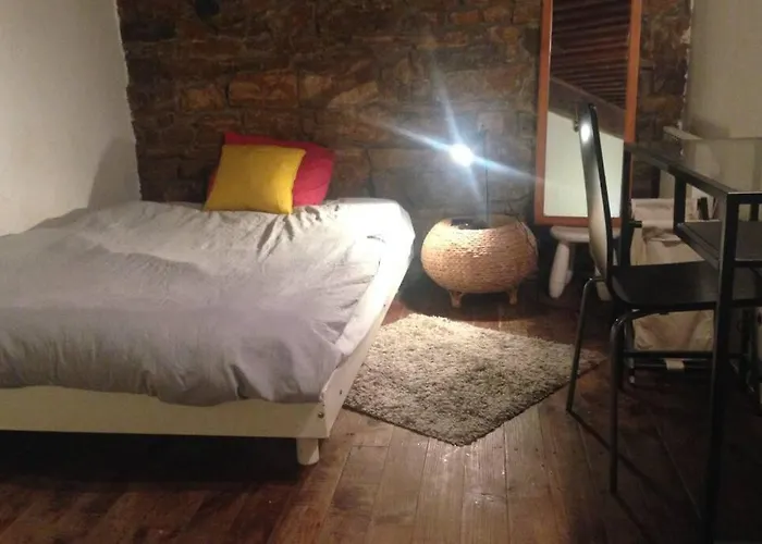 Studio Lyon 1Er